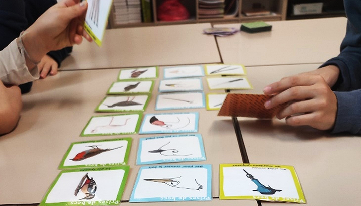 Le projet «Drôles d’oiseaux !» en Dordogne !